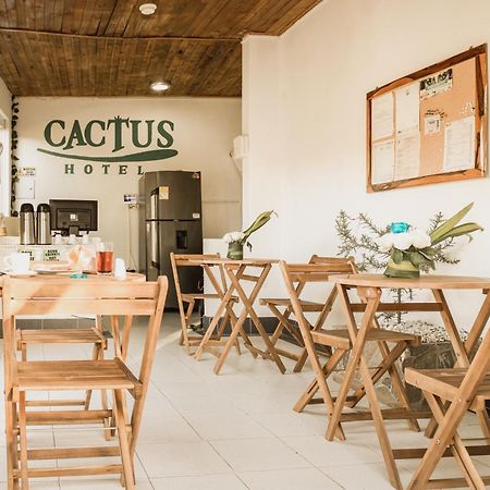 Hotel Cactus ตากังกา ภายนอก รูปภาพ