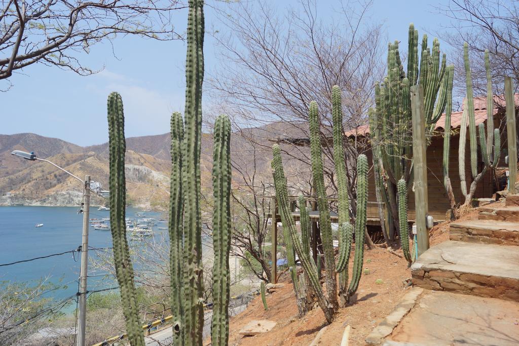 Hotel Cactus ตากังกา ภายนอก รูปภาพ