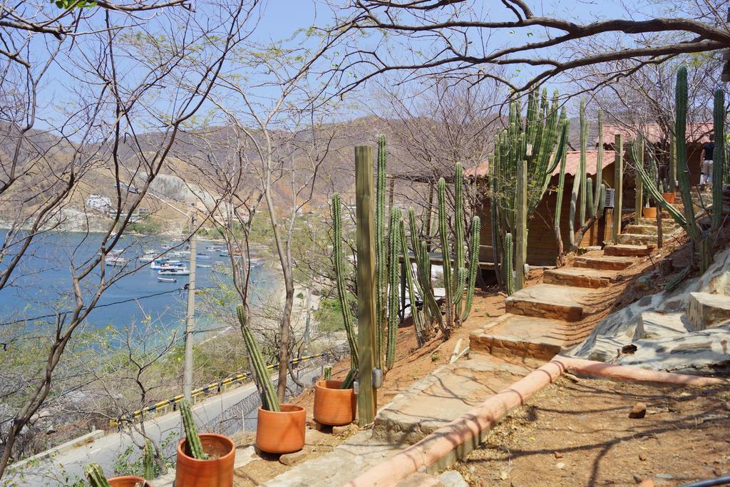 Hotel Cactus ตากังกา ภายนอก รูปภาพ