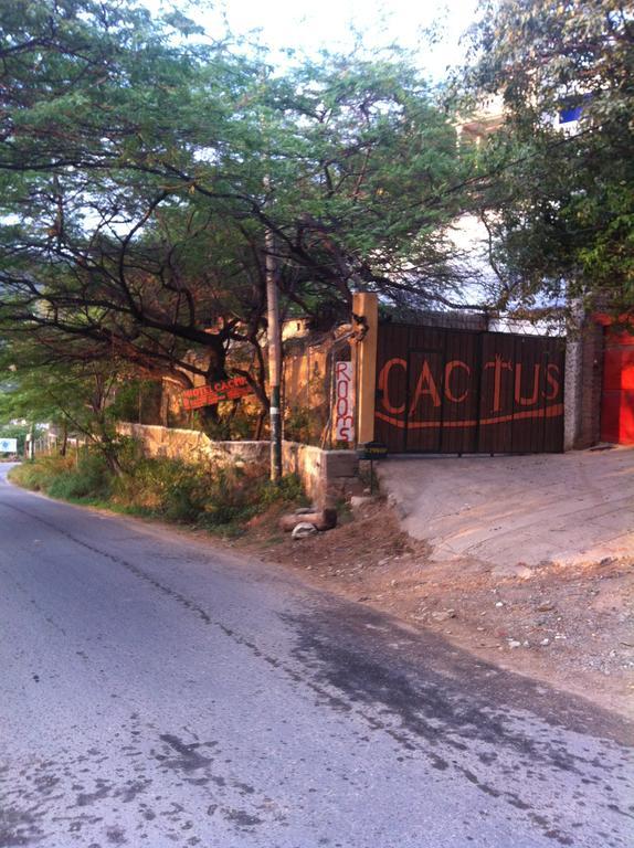 Hotel Cactus ตากังกา ห้อง รูปภาพ